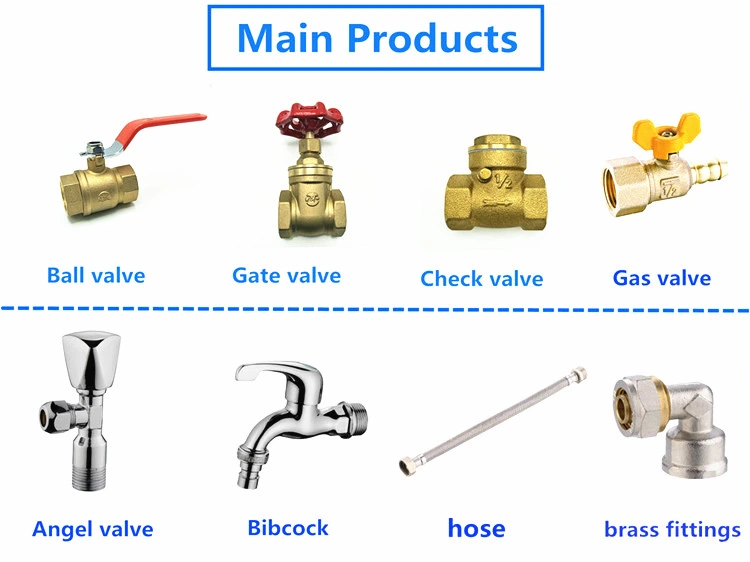 Male Female Brass Insert for PPR Pipe Fittings